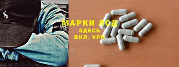 прущие грибы Ростов