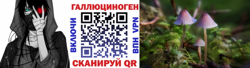 МЕГА ONION  где купить наркоту  Кирсанов  Галлюциногенные грибы GOLDEN TEACHER 